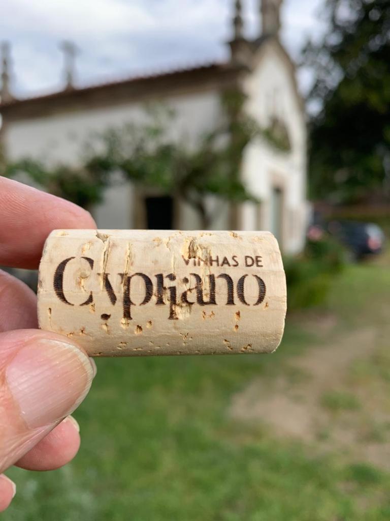Quinta De Cypriano - Wine & Nature ポンテ・ダ・バルカ エクステリア 写真