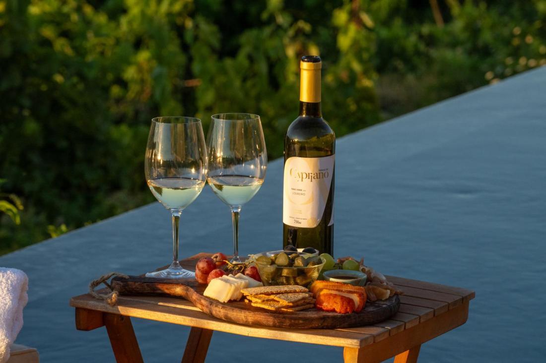 Quinta De Cypriano - Wine & Nature ポンテ・ダ・バルカ エクステリア 写真