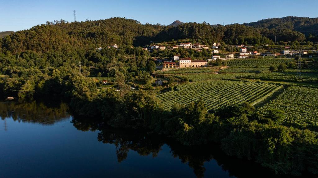 Quinta De Cypriano - Wine & Nature ポンテ・ダ・バルカ エクステリア 写真